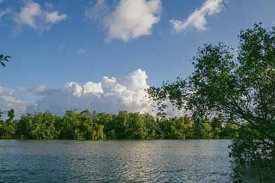 番茄炒辣椒先炒什么好吃