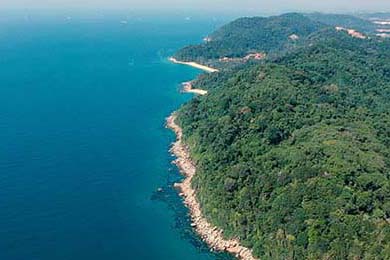 发烧可以吃炒尖椒吗大人